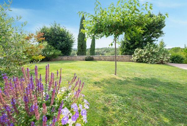 Un jardín cuidado con diversas plantas y un muro de piedra al fondo.