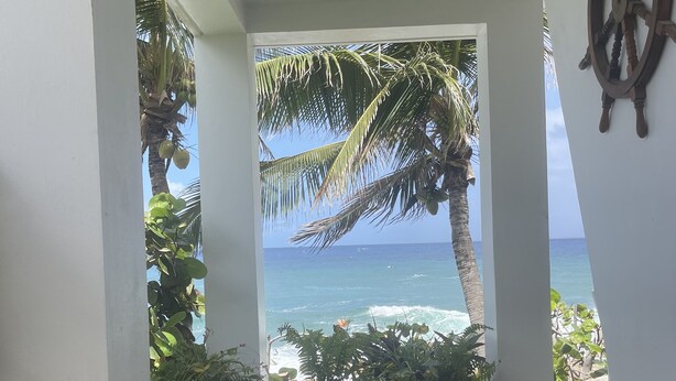 Une allée couverte mène à une plage bordée de palmiers et agrémentée de plantes en pot.