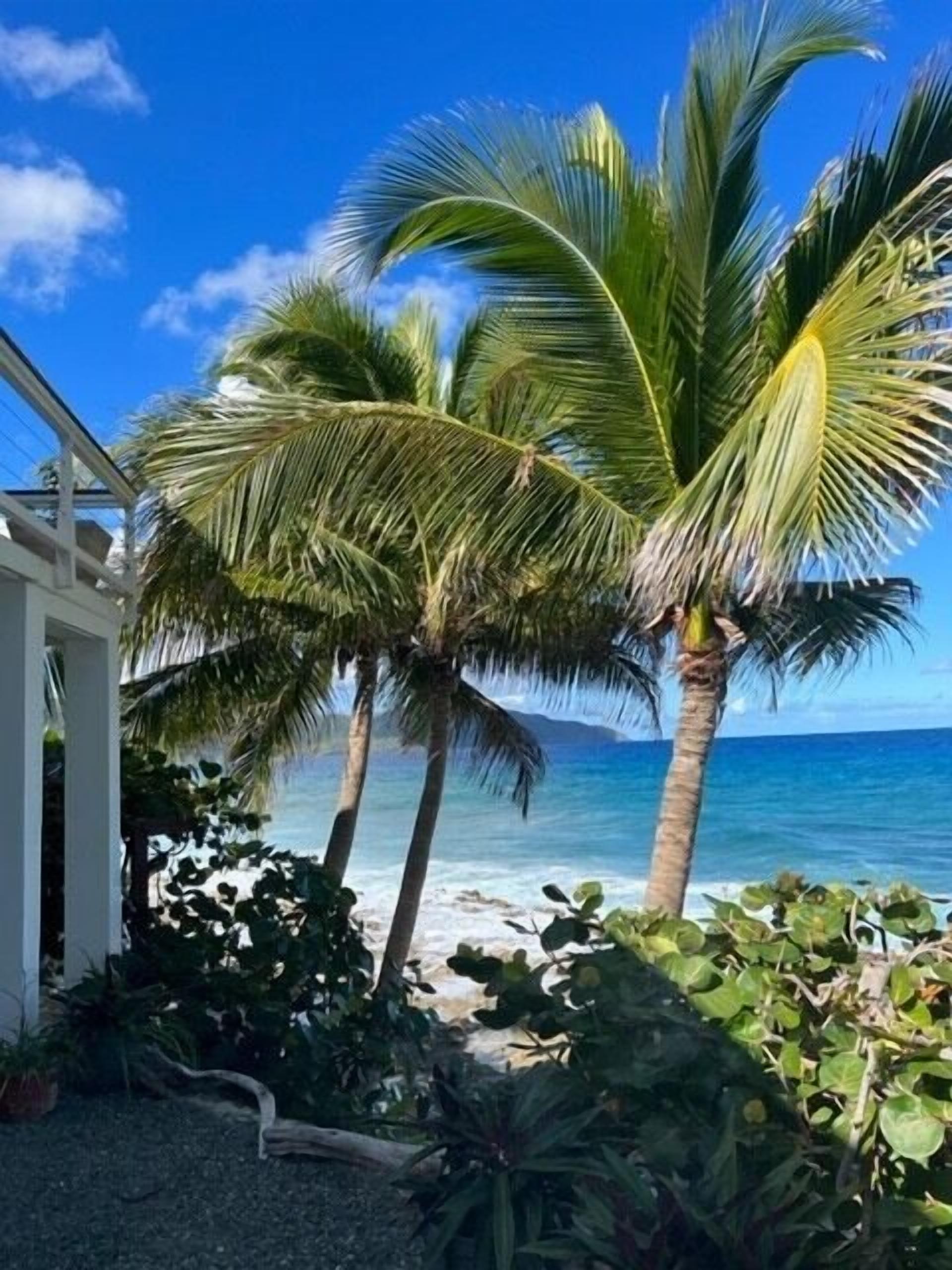 サンラウンジャー、ビーチタオル