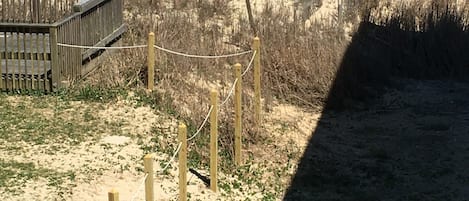 在海滩