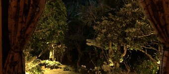 Private site in the center of São Pedro da Serra