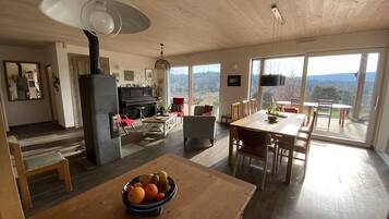 TV, fireplace, books, music library