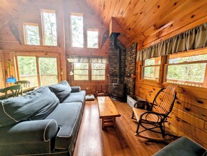 TV, fireplace, DVD player, books