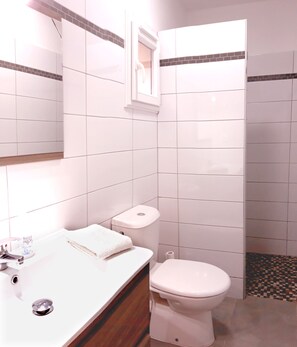 Chuveiro, secador de cabelo, toalhas de banho, papel higiênico