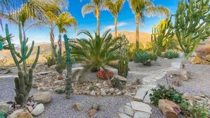 A desert garden with various cacti and palm trees, a stone pathway, and a clear blue sky. - Luxury Private Estate | Pool & Pickleball Court (Lakeside)