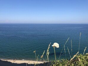 Una playa cerca