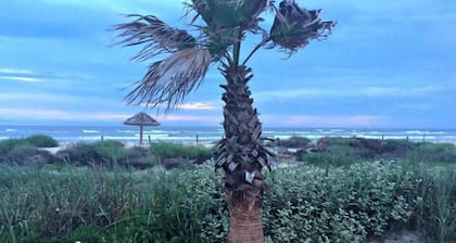 Beach, Please! Oceanfront Bliss with Miles of Sand!