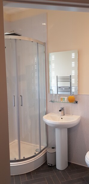 Chambre Double (Mynydd Parys) | Salle de bain