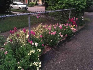 Un jardín con diversas flores a lo largo de una cerca.
