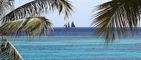 On the beach, sun-loungers, beach towels