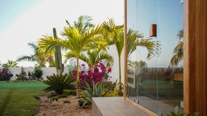 Um jardim moderno ao ar livre com palmeiras, plantas floridas e um muro de vidro refletindo o céu.