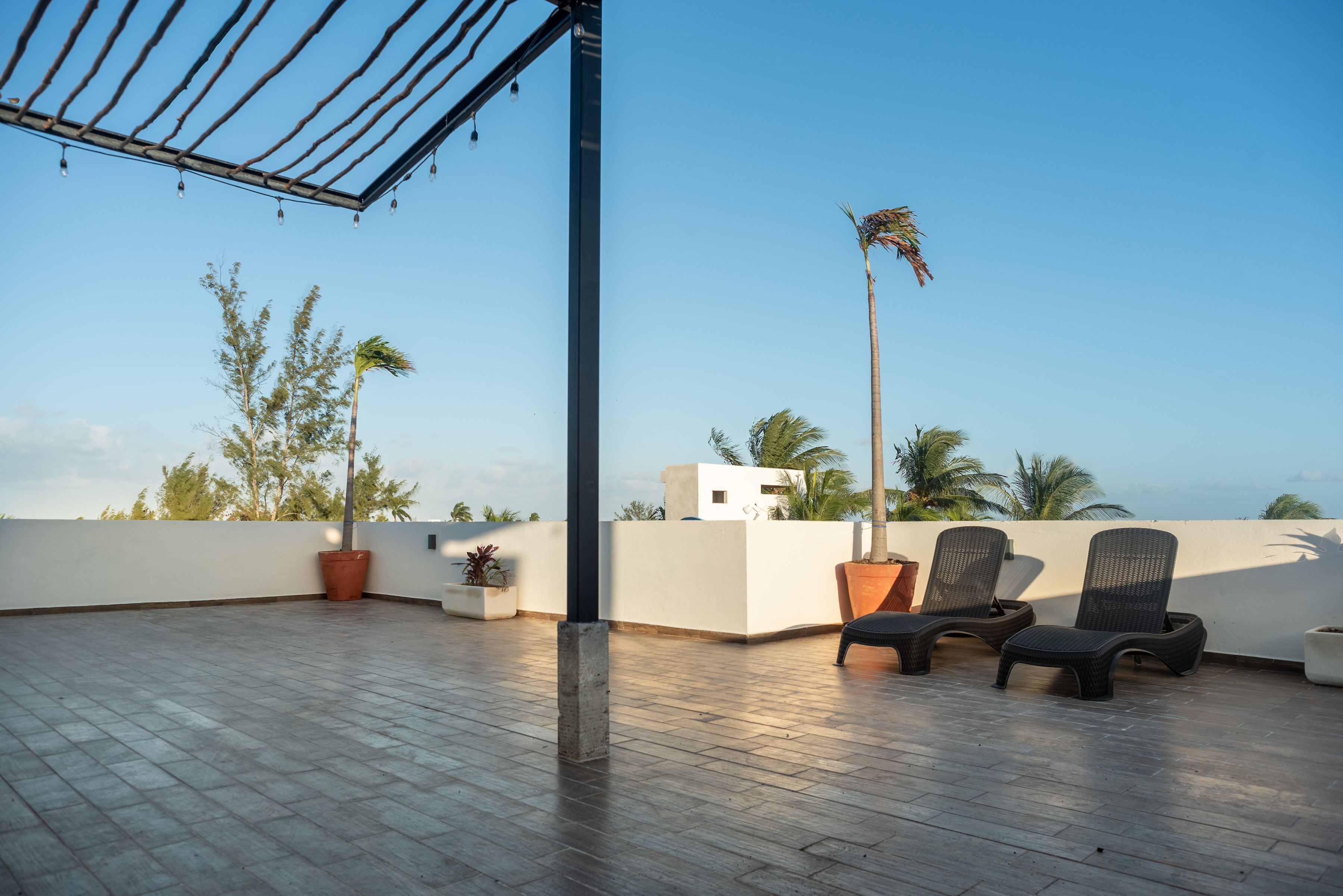 Una terraza en la azotea con suelo de madera, dos sillones de descanso, plantas en macetas y vistas a palmeras y edificios.