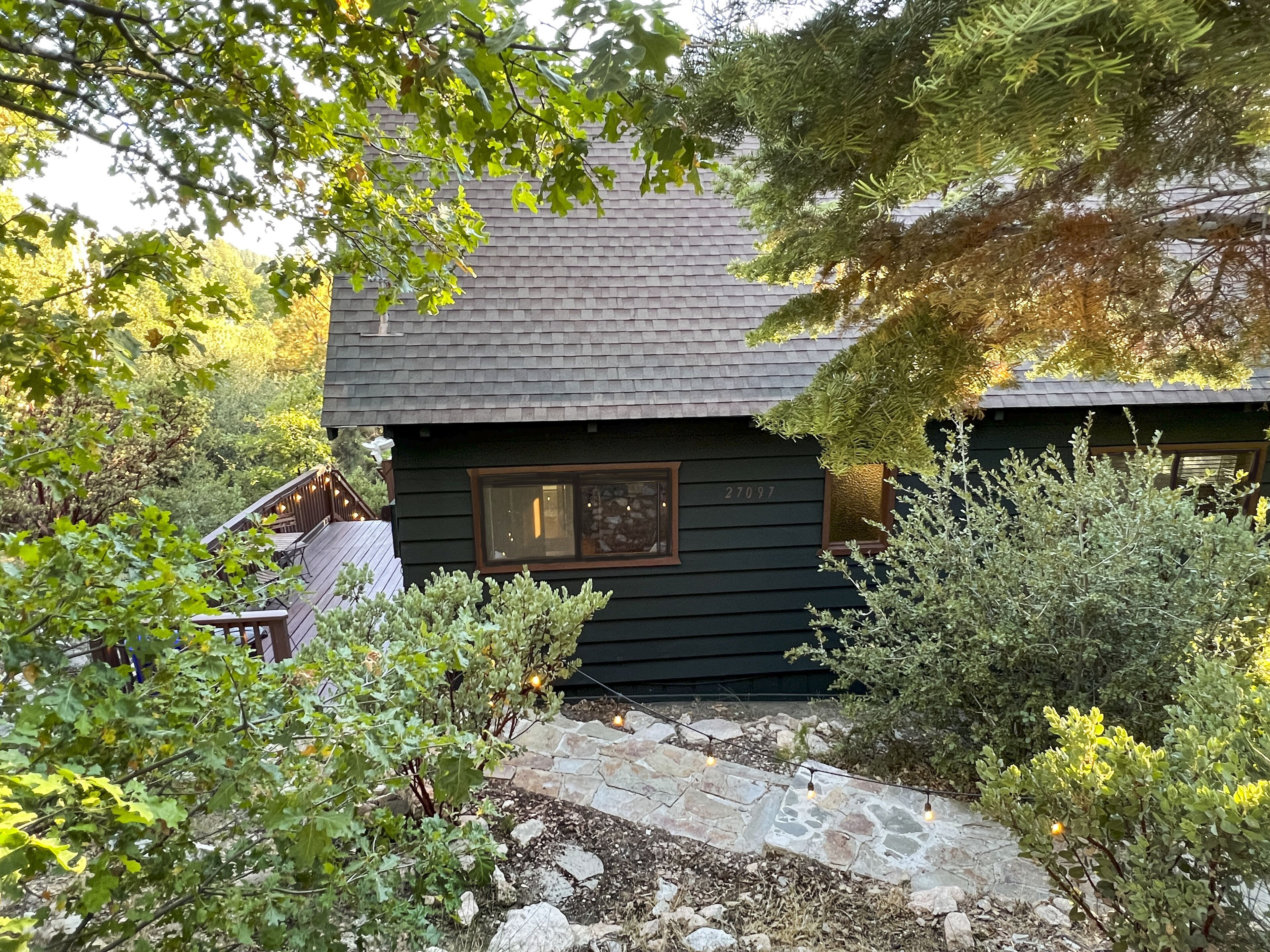 A small cabin with a stone pathway leading to the door, surrounded by dense foliage.