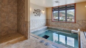 Zona de spa con hidromasaje, ducha y un elemento decorativo en la pared.