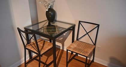 YOUNG-DUNDAS SQUARE FURNISHED BACHELOR CONDO