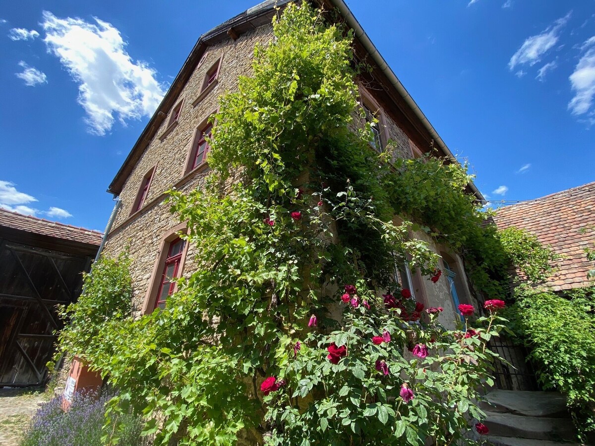 Image de profil de l’hôte