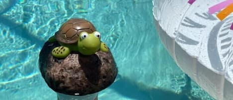 屋外プール、温水プール