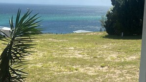 A grassy area with a view of the ocean and a tree.