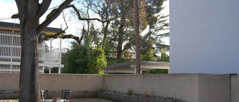 A courtyard with a large tree, a white wall, and a building in the background.