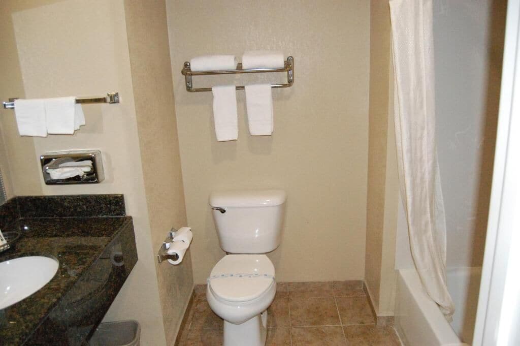 A bathroom with a toilet, sink, and towel rack.