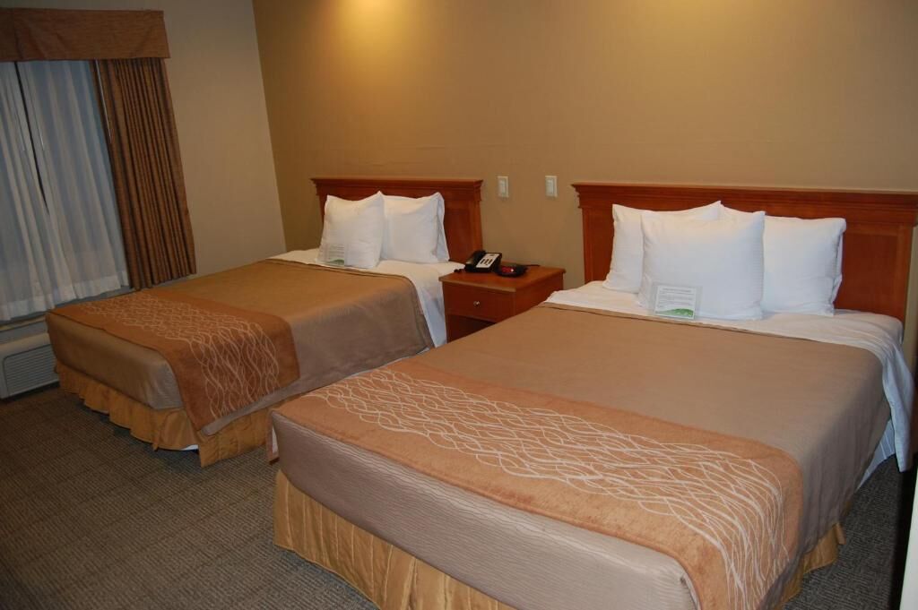 Verdunkelungsvorhänge, kostenloses WLAN