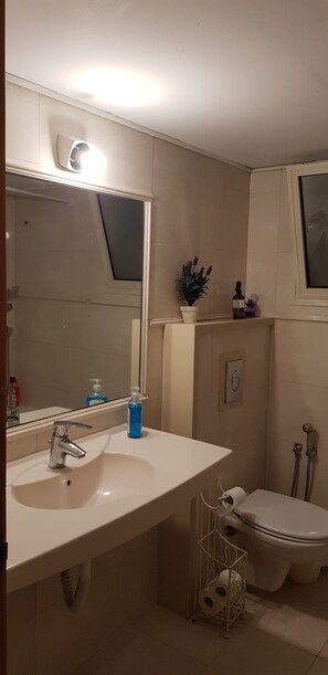 Ensemble baignoire-douche, séchoir à cheveux, savon, papier de toilette