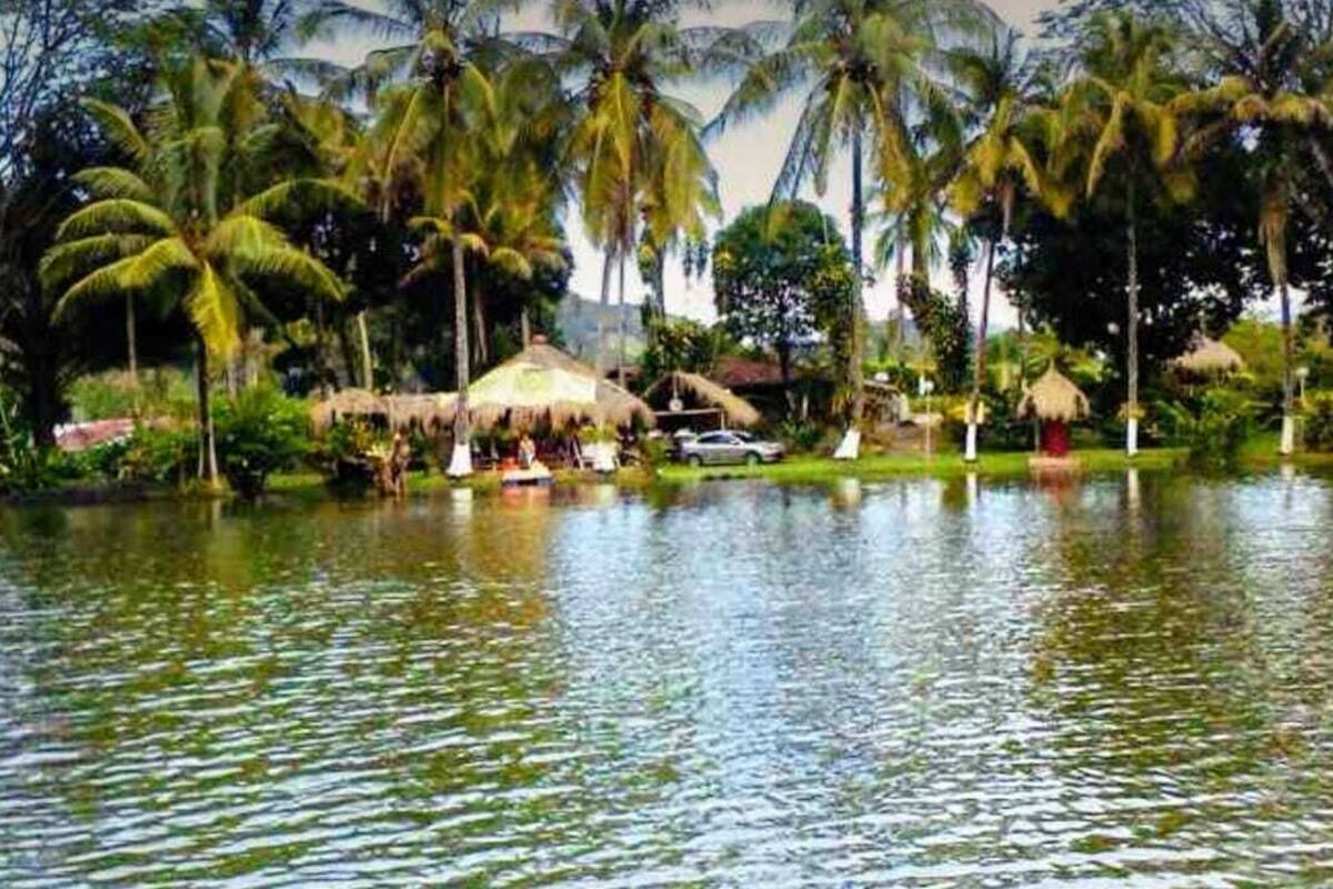 A tropical resort with a water body, palm trees, and thatched-roof huts.