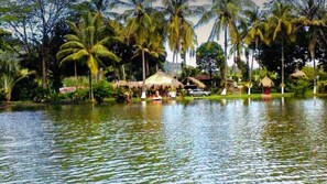 A tropical resort with a water body, palm trees, and thatched-roof huts. - Hotel Mi Tierra (Barbosa)