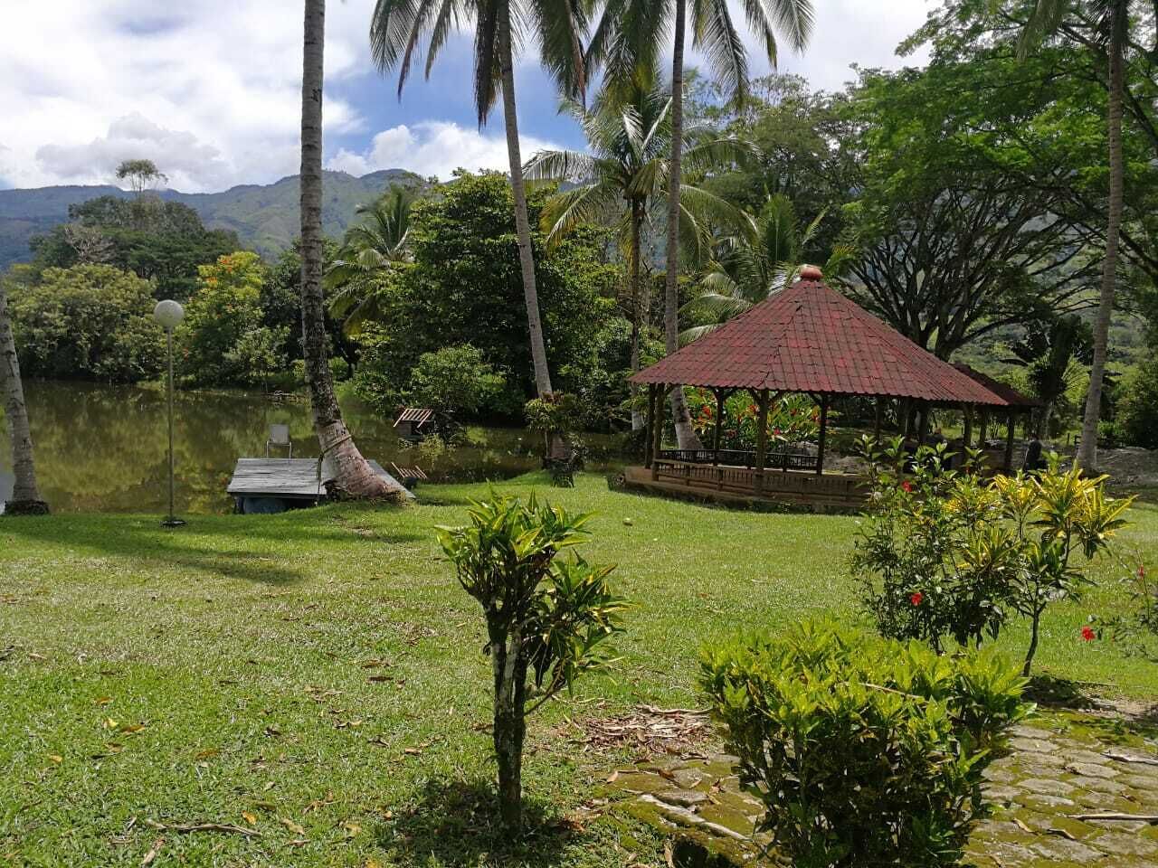 A gazebo in a lush garden with a pond, surrounded by palm trees and greenery.