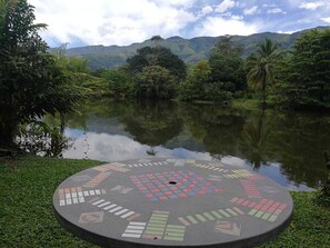 Lake view