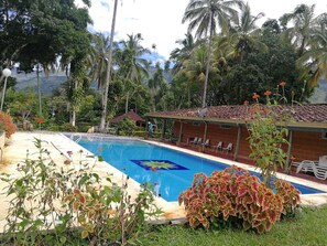 A swimming pool with a blue center, surrounded by lush greenery and palm trees. - Hotel Mi Tierra (Barbosa)