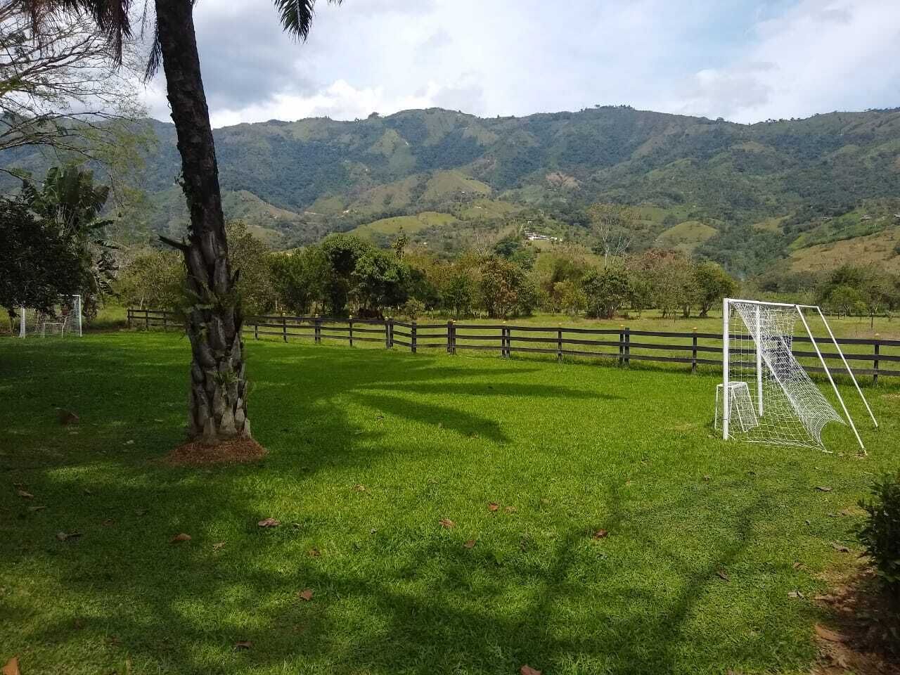 A grassy field with a soccer goal, a wooden fence, and a tree.