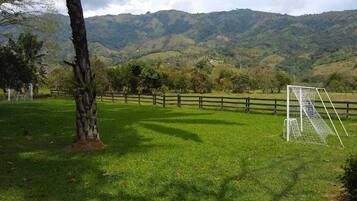 A grassy field with a soccer goal, a wooden fence, and a tree.
