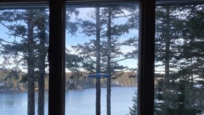 Vista attraverso una finestra su un lago circondato da alberi alti, con un cielo sereno.