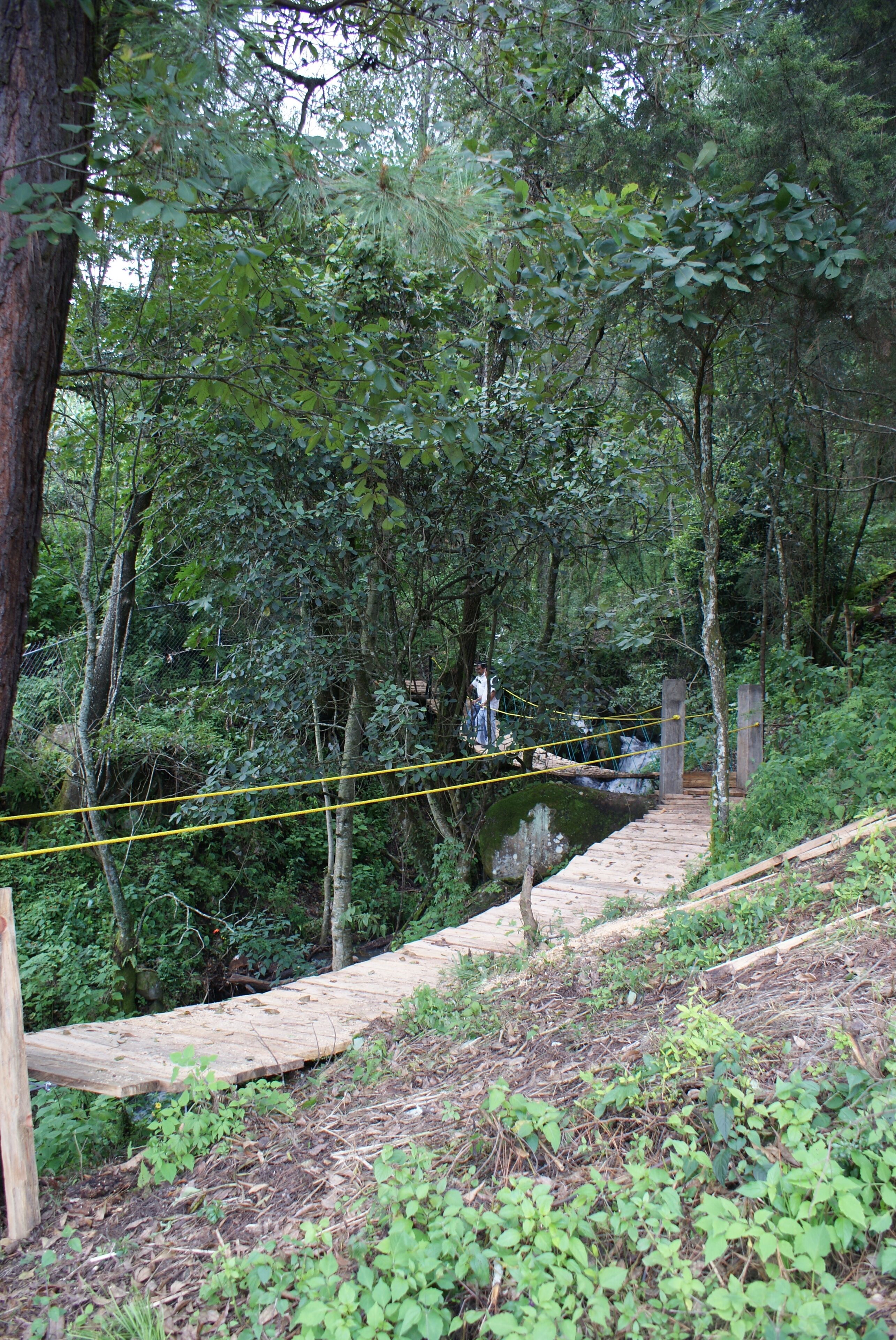 A wooden bridge in a forested area with a rope safety line.