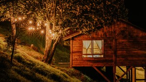 A wooden cabin with a window, surrounded by trees and illuminated by string lights. - Cabin in Private Forest (MORELIA)