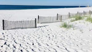 En sandstrand med ett trästaket och gles vegetation.