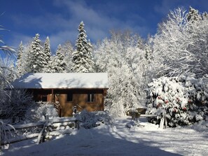 Exterior - Tremblant-Mont Blanc/SPA/Intimacy (St-Faustin lac carré)