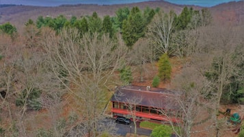 House | Property grounds