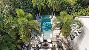 An aerial view of a pool area with lounge chairs and palm trees.