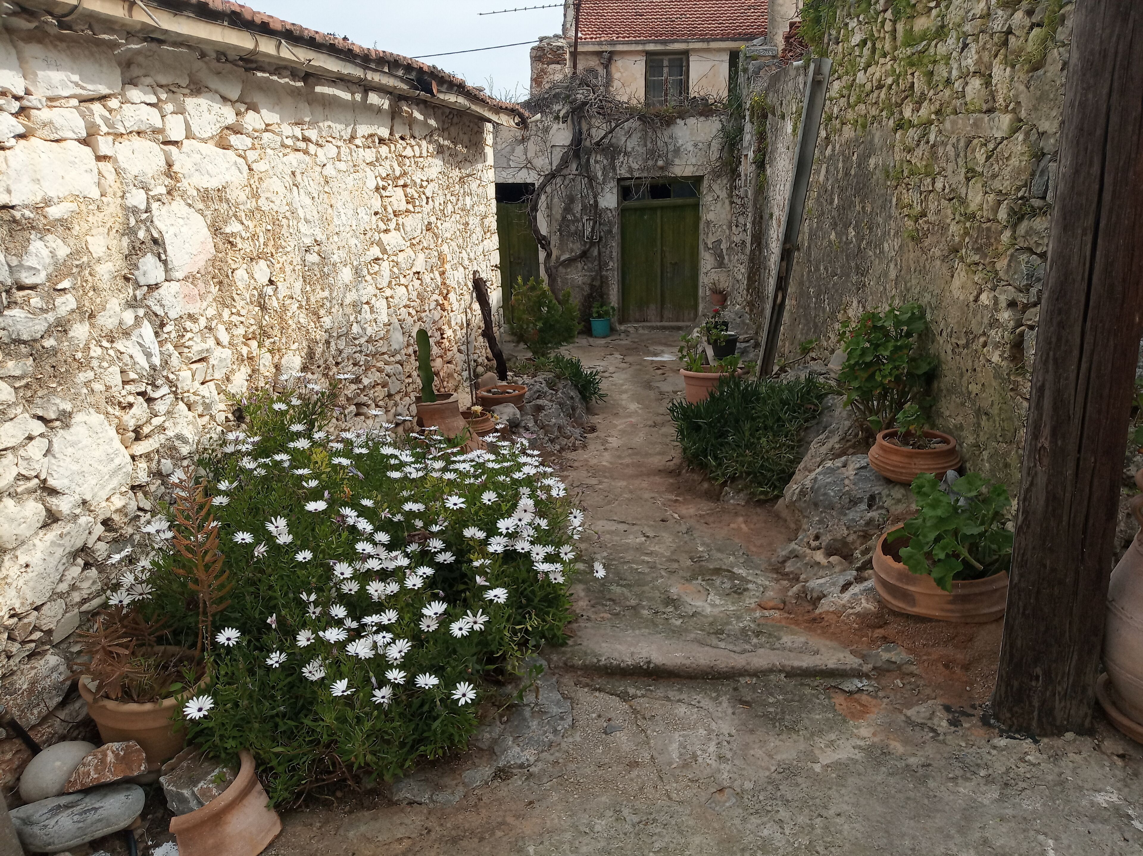 A narrow stone pathway flanked by potted plants and a rustic building with a tiled roof.