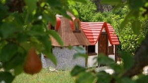 A small, rustic house with a thatched roof and a wooden door, surrounded by greenery. - Immaculate 2-Bed Cottage near Krka Waterfalls (Rupe)