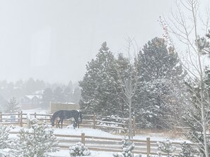 Paisagem nevada com um cavalo em área cercada, rodeada por árvores cobertas de neve e um edifício ao fundo.