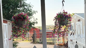 Une vue depuis un porche agrémenté d’une clôture en bois peinte en blanc, d’une chaise en osier et de jardinières suspendues.