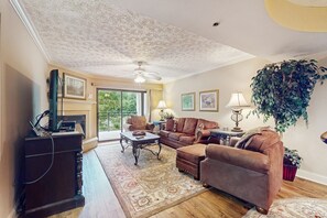 TV, fireplace, DVD player, books