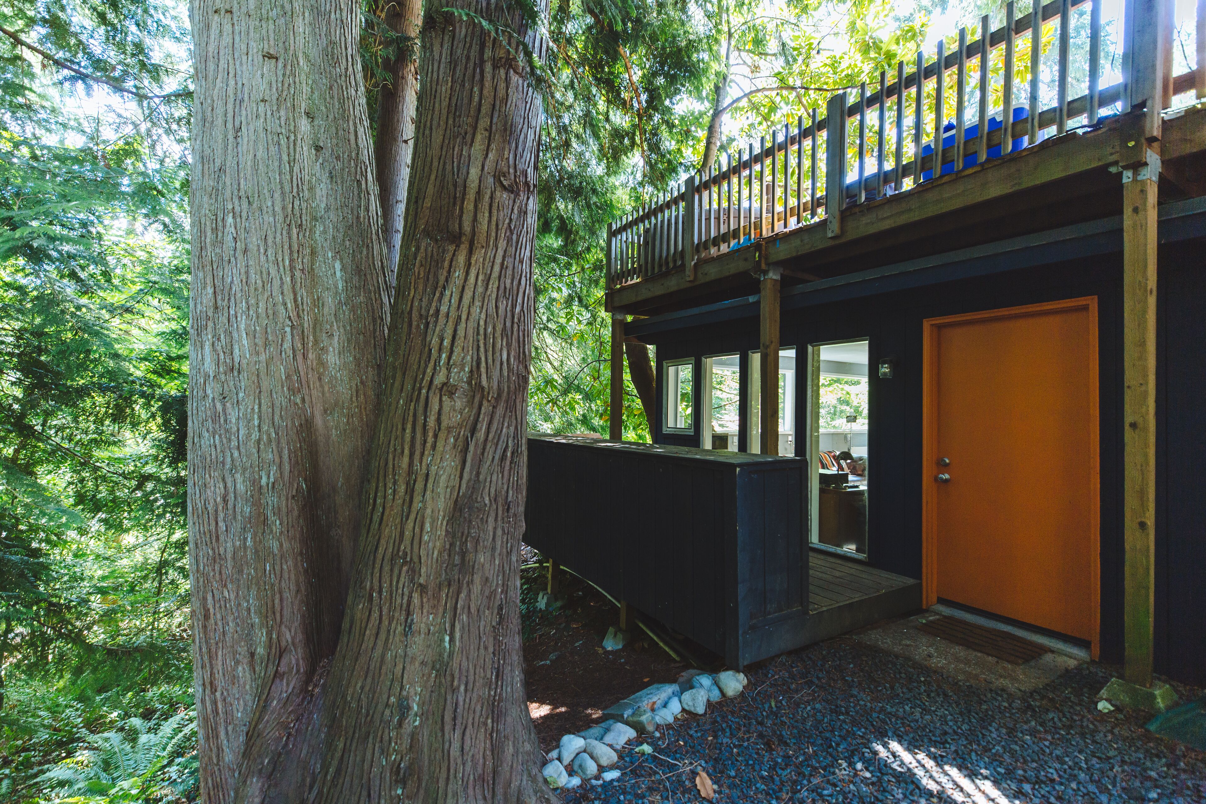 Una casa en el árbol con terraza de madera y puerta, rodeada de un bosque frondoso.