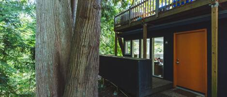Una casa en el árbol con terraza de madera y puerta, rodeada de un bosque frondoso.