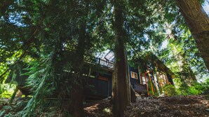 Une zone boisée avec une structure en forme de cabane en bois.