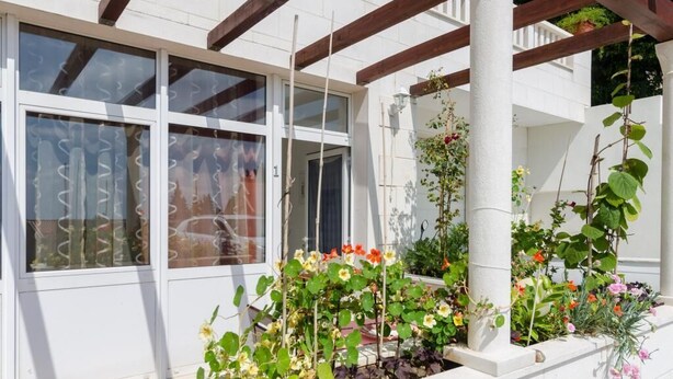 En moderne bygning med store vinduer, hvid facade og en have med forskellige planter og blomster.