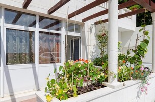 Apartamento (Comfort One Bedroom Apartment with Te) | Exterior